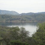 Photo 4 for Napa Valley Wilderness Hideaway