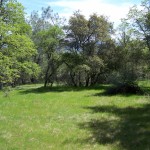 Photo 7 for El Tee Ranch - South 60 Acres