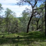 Photo 8 for El Tee Ranch - South 60 Acres