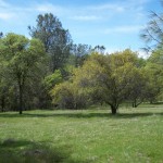 Photo 12 for El Tee Ranch - South 60 Acres