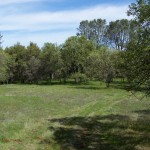 Photo 3 for El Tee Ranch - South 60 Acres