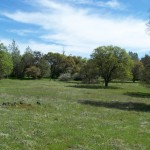 Photo 6 for El Tee Ranch - South 60 Acres