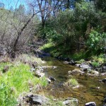 Photo 8 for 5 Acres Near Placerville