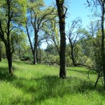 Photo 15 for 5 Acres Near Placerville