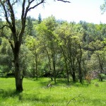 Photo 17 for 5 Acres Near Placerville