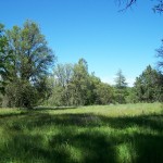 Photo 18 for 5 Acres Near Placerville