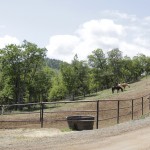 Photo 11 for Quartz Hill  Ranch