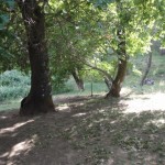 Photo 11 for Circle Oaks in Napa County