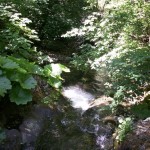Photo 8 for Greenhorn Creek