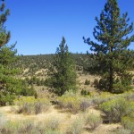Photo 10 for Canyon Creek Retreat