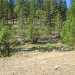 Photo 13 for Canyon Creek Retreat