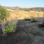 Photo 16 for Spectacular Views - North Vacaville Country Home