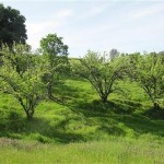 Photo 19 for Spectacular Views - North Vacaville Country Home