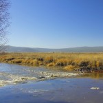 Photo 7 for TC Big Sky Ranch