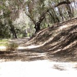 Photo 9 for Ojai Overlook