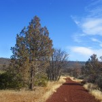 Photo 15 for Juniper Trail