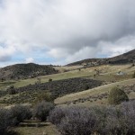 Photo 5 for Greening Rain Ranch