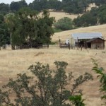 Photo 9 for Magonigal Ranch