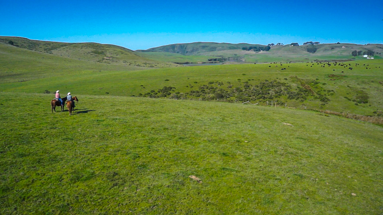 Estero americano valley ford