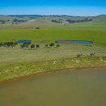 Photo 3 for Estero Americano Ranch