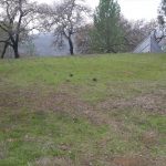 Photo 1 for Berryessa Highlands Vacant Lot #167 at Lake Berryessa