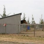 Photo 16 for AUCTION   - Woodland Olive & Horse Ranch