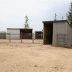 Photo 14 for AUCTION   - Woodland Olive & Horse Ranch