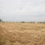 Photo 12 for AUCTION   - Woodland Olive & Horse Ranch