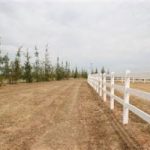 Photo 41 for AUCTION   - Woodland Olive & Horse Ranch