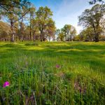 Photo 1 for El Tee Ranch - South 60 Acres