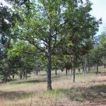 Photo 4 for McCray Ranch