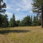 Photo 8 for McCray Ranch