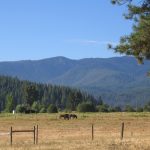 Photo 30 for Saddle Mountain Ranch