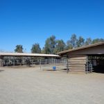 Photo 24 for Woodland Stallion Station