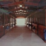 Photo 26 for Woodland Stallion Station