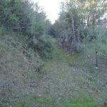 Photo 2 for Spanish Flat Woodlands Vacant Lot #41
