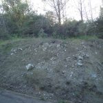 Photo 5 for Spanish Flat Woodlands Vacant Lot #41