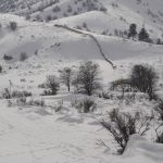 Photo 3 for Honey Lake Recreational Ranch