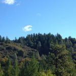 Photo 5 for 80 acres on Potato Creek - Hayfork, CA