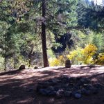 Photo 6 for 80 acres on Potato Creek - Hayfork, CA
