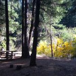 Photo 7 for 80 acres on Potato Creek - Hayfork, CA