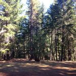 Photo 8 for 80 acres on Potato Creek - Hayfork, CA