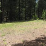 Photo 10 for 80 acres on Potato Creek - Hayfork, CA