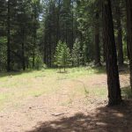Photo 11 for 80 acres on Potato Creek - Hayfork, CA