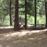 Photo 12 for 80 acres on Potato Creek - Hayfork, CA