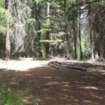 Photo 16 for 80 acres on Potato Creek - Hayfork, CA