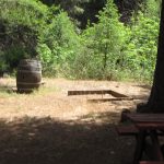 Photo 20 for 80 acres on Potato Creek - Hayfork, CA