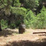 Photo 21 for 80 acres on Potato Creek - Hayfork, CA