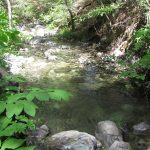 Photo 24 for 80 acres on Potato Creek - Hayfork, CA