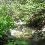 Photo 25 for 80 acres on Potato Creek - Hayfork, CA